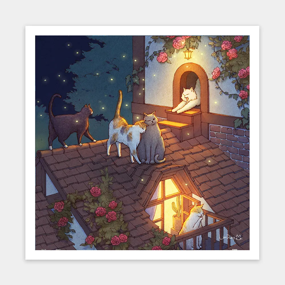 Limduey - Night on the Roof - Limduey - 屋頂上的夜晚 - 900pcs
