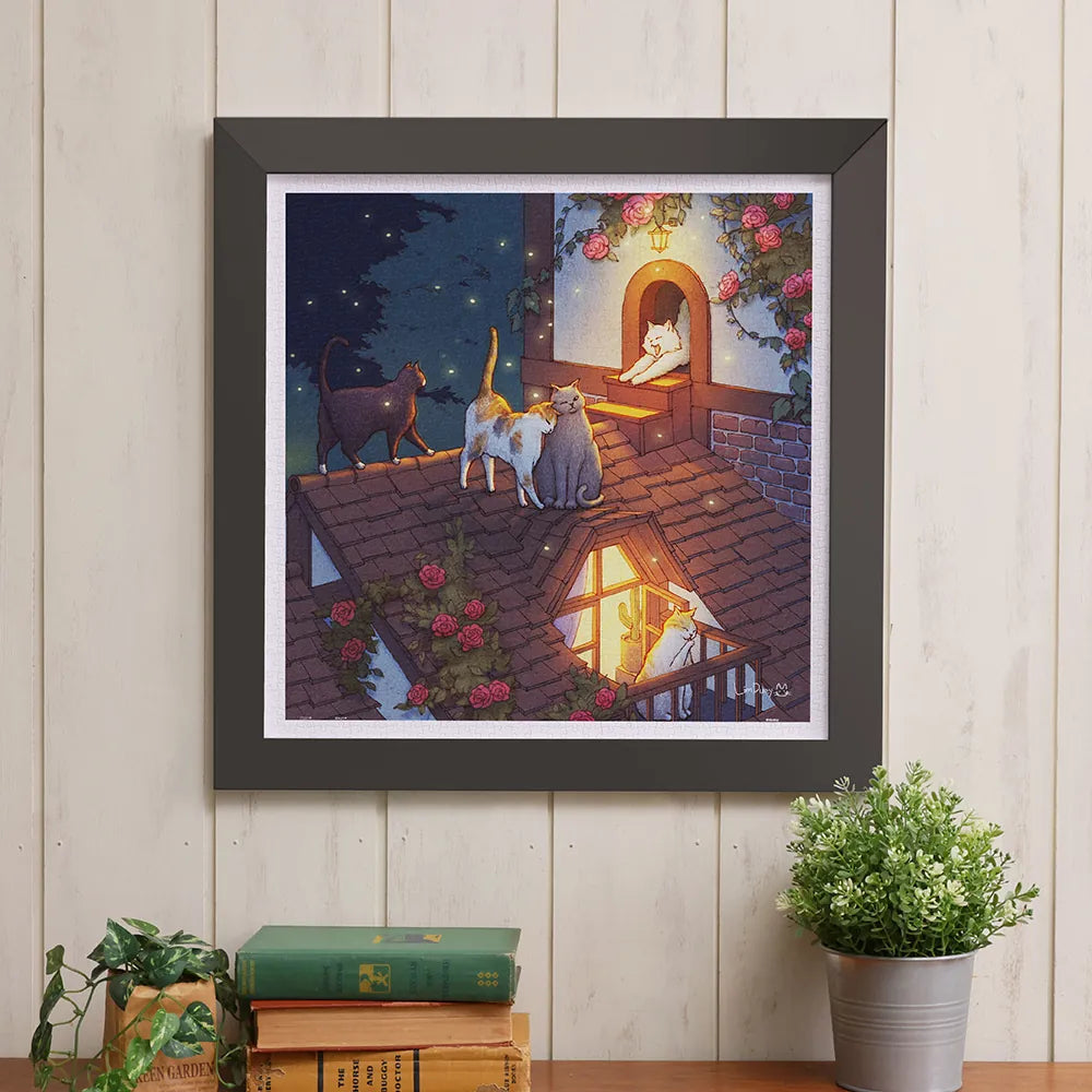 Limduey - Night on the Roof - Limduey - 屋頂上的夜晚 - 900pcs