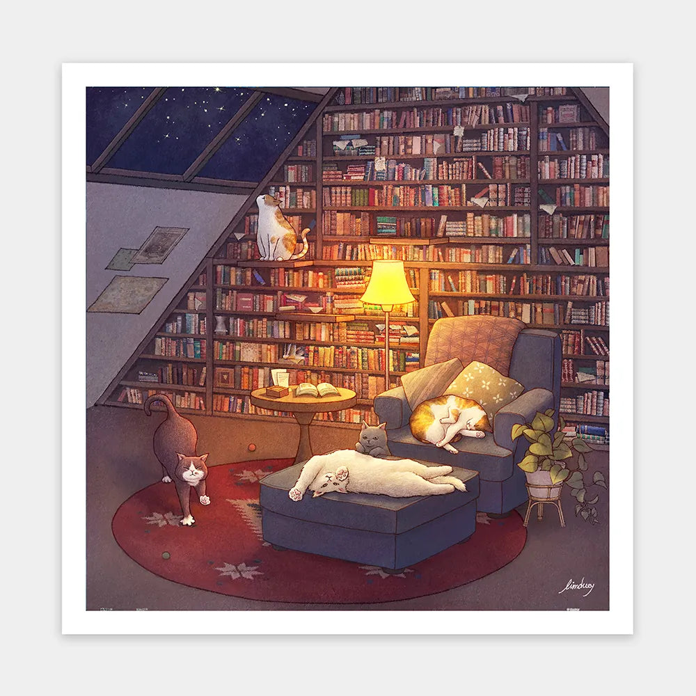 Limduey - Library - Limduey - 夜晚的圖書室 - 900pcs