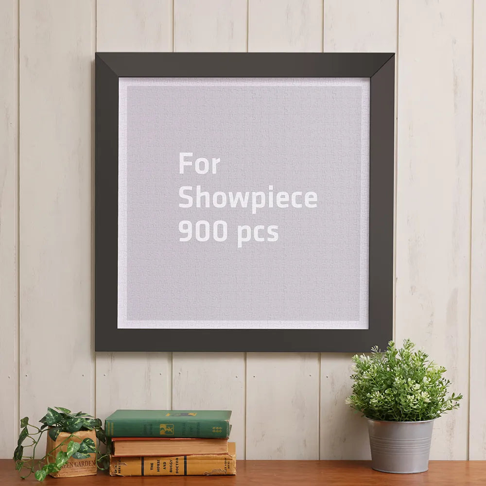 900pcs Showpiece Frame